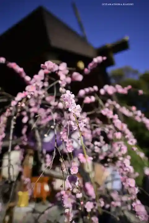 東京大神宮(東京都)