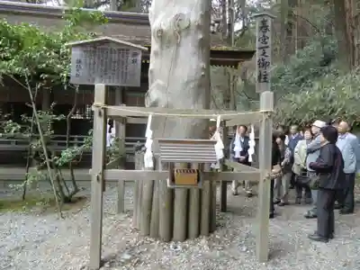 諏訪大社下社春宮(長野県)