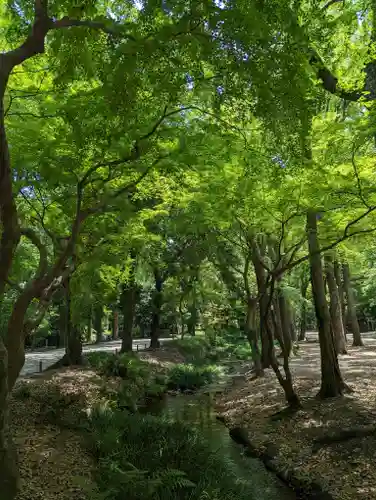賀茂御祖神社（下鴨神社）(京都府)