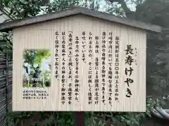 溝口神社(神奈川県)