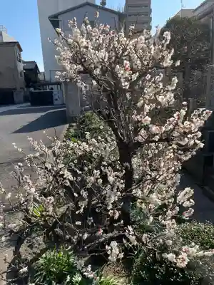 真正寺(東京都)