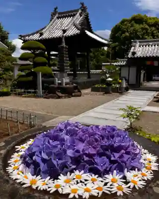 真言宗　善通寺派　薬王寺(香川県)