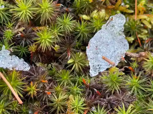 西方山極楽寺(岐阜県)
