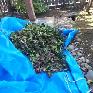 七重浜海津見神社(北海道)(2024年08月26日(月) 08時17分53秒投稿)