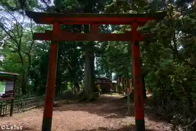 嶽弁財天社(和歌山県)