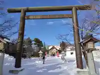 烈々布神社の鳥居