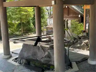 伊勢山皇大神宮(神奈川県)