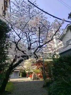 秋葉神社の{uncategorized: "未分類", other: "その他", undefined: "問題あり", building: "その他建物", grave: "お墓", sacred_gate: "鳥居", guardian: "狛犬", statue: "像", buddha: "仏像", history: "歴史", nature: "自然", garden: "庭園", animal: "動物", pagoda: "塔", temizu: "手水舎", mountain_gate: "山門・神門", sanctuary: "本殿・本堂", subordinate: "末社・摂社", art: "芸術", scenery: "景色", jizo: "地蔵", ema: "絵馬", goshuin: "御朱印", omikuji: "おみくじ", items: "授与品その他", amulet: "お守り", goshuincho: "御朱印帳", eats: "食事", festival: "お祭り", votive_dance: "神楽", shichigosan: "七五三参", wedding: "結婚式", experience: "体験その他", initially: "初詣", around: "周辺", anti_infection: "感染症対策"}