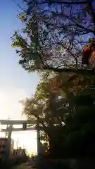 尾張大國霊神社（国府宮）の景色