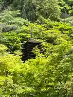 談山神社(奈良県)