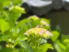 良性院(長野県)