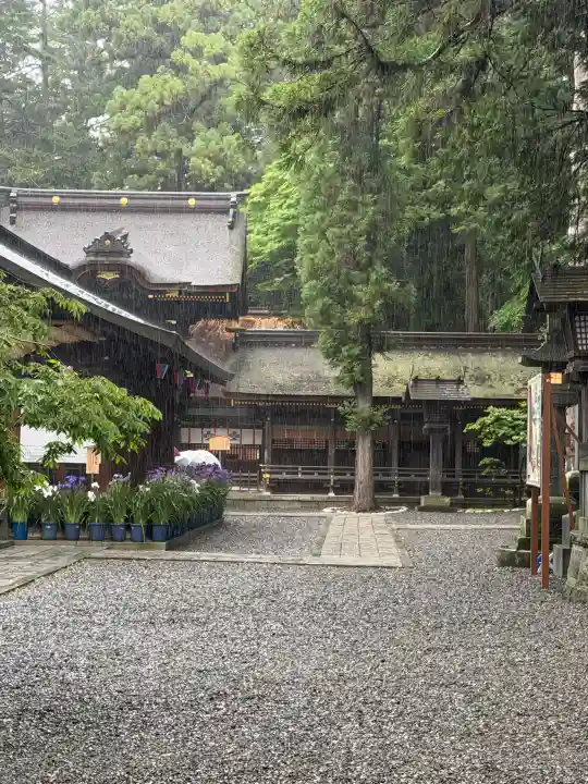 諏訪大社下社春宮(長野県)