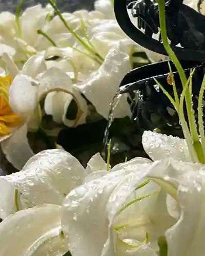 札幌諏訪神社の手水舎