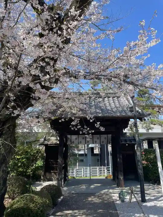 大光寺の{uncategorized: "未分類", other: "その他", undefined: "問題あり", building: "その他建物", grave: "お墓", sacred_gate: "鳥居", guardian: "狛犬", statue: "像", buddha: "仏像", history: "歴史", nature: "自然", garden: "庭園", animal: "動物", pagoda: "塔", temizu: "手水舎", mountain_gate: "山門・神門", sanctuary: "本殿・本堂", subordinate: "末社・摂社", art: "芸術", scenery: "景色", jizo: "地蔵", ema: "絵馬", goshuin: "御朱印", omikuji: "おみくじ", items: "授与品その他", amulet: "お守り", goshuincho: "御朱印帳", eats: "食事", festival: "お祭り", votive_dance: "神楽", shichigosan: "七五三参", wedding: "結婚式", experience: "体験その他", initially: "初詣", around: "周辺", anti_infection: "感染症対策"}