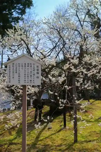 瑞巌寺の庭園