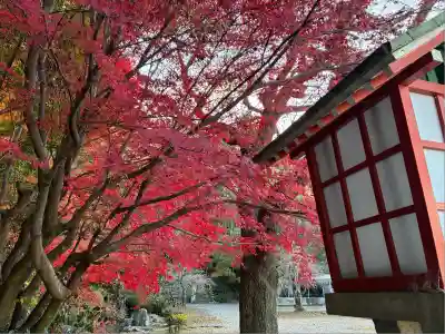 霊山観音(京都府)