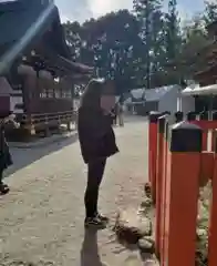 賀茂御祖神社（下鴨神社）(京都府)