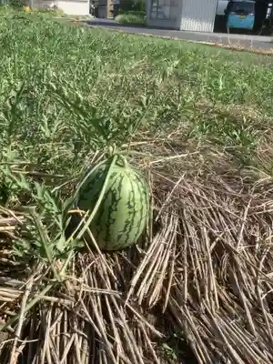 八幡神社(岐阜県)