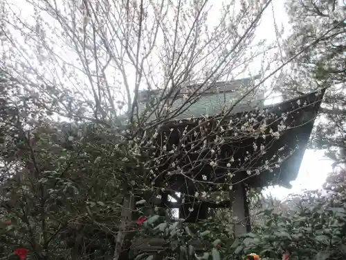 宝戒寺(神奈川県)
