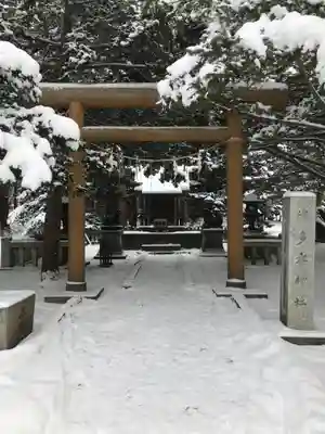 北海道神宮の鳥居