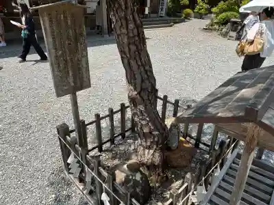 小國神社(静岡県)