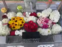 新川皇大神社の手水舎