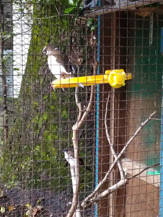 高知八幡宮(高知県)
