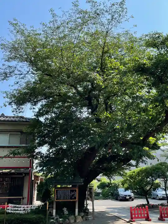 居木神社の庭園