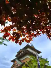 諏訪護国神社(長野県)