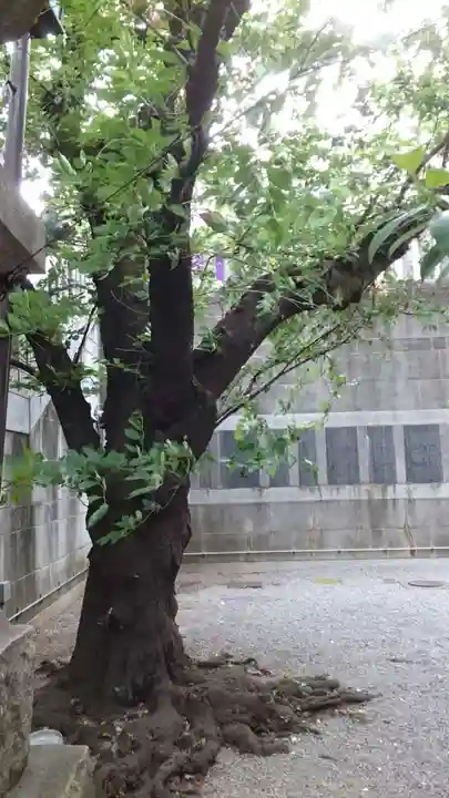 元三島神社(東京都)
