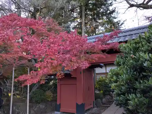 豪徳寺(東京都)