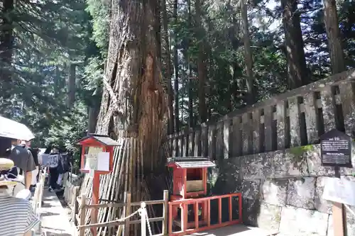 日光東照宮奥宮拝殿(栃木県)