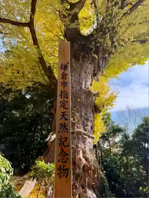 荏柄天神社(神奈川県)