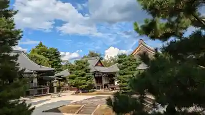 大覚寺(京都府)