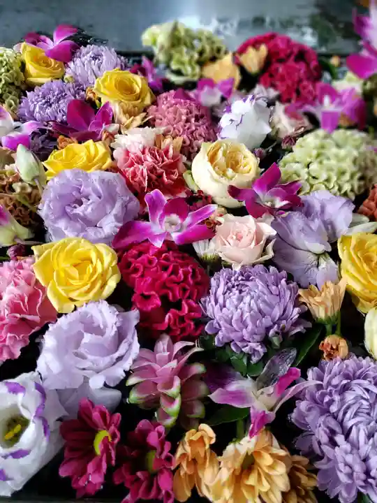 熊野神社(東京都)