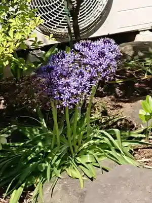 成就院(神奈川県)