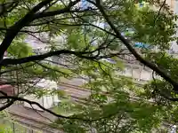 諏方神社(東京都)