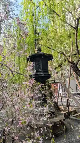 頂法寺（六角堂）(京都府)