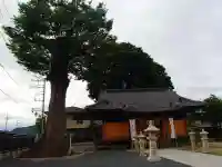 石井神社の本殿・本堂