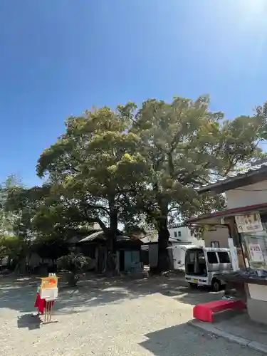 摩利支神社の自然