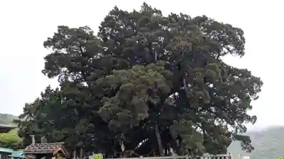 寶生院の自然