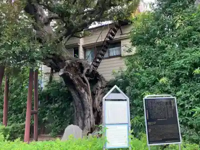 延命院(東京都)