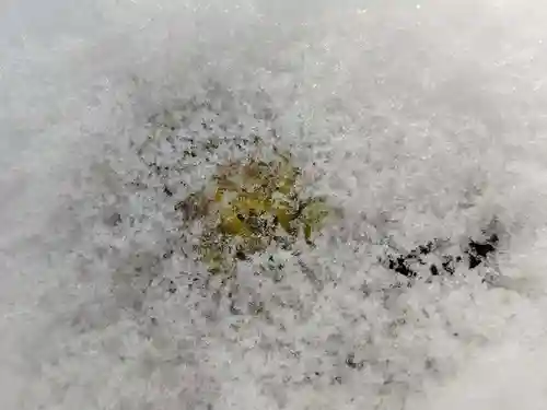 関場神社(福島県)