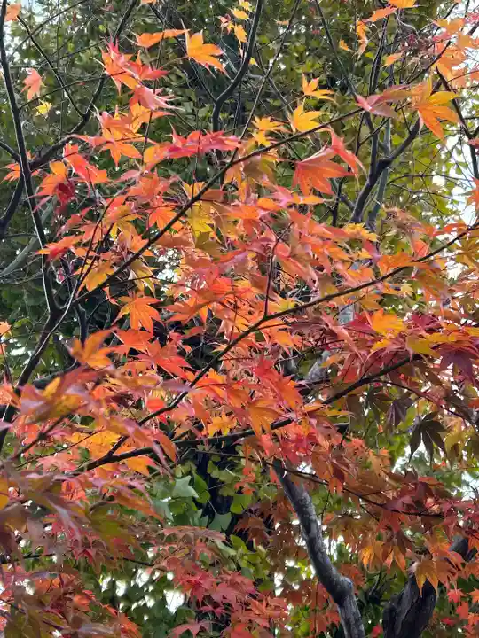 東光寺(長野県)