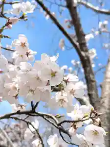 星田妙見宮(大阪府)(2025年04月01日(火) 14時25分18秒投稿)