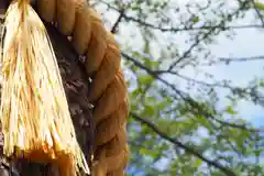 札幌諏訪神社の建物その他