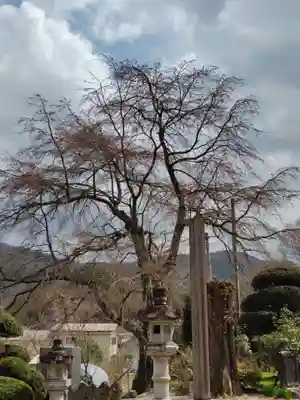 宝蔵寺(福島県)