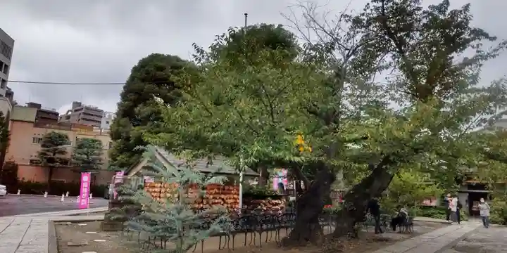 今戸神社(東京都)