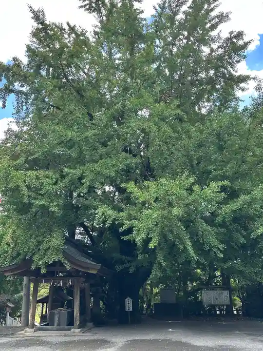 神柱宮(宮崎県)