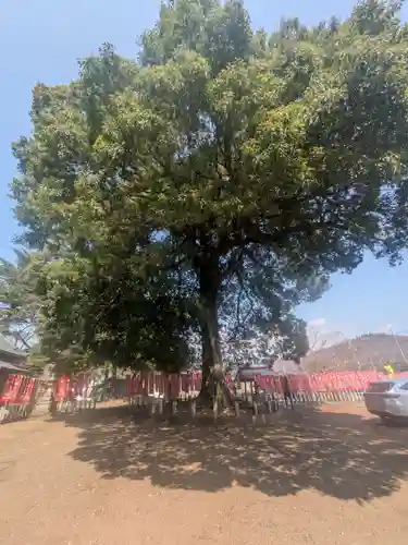 白髭神社(群馬県)